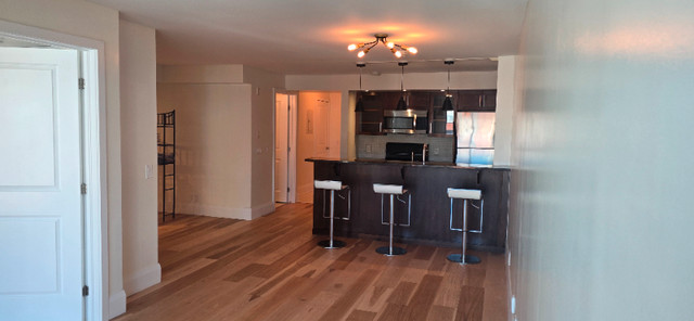 FOR RENT 1 + Den bedrooms Apartment at 138 Somerset Street West, Ottawa, ON
