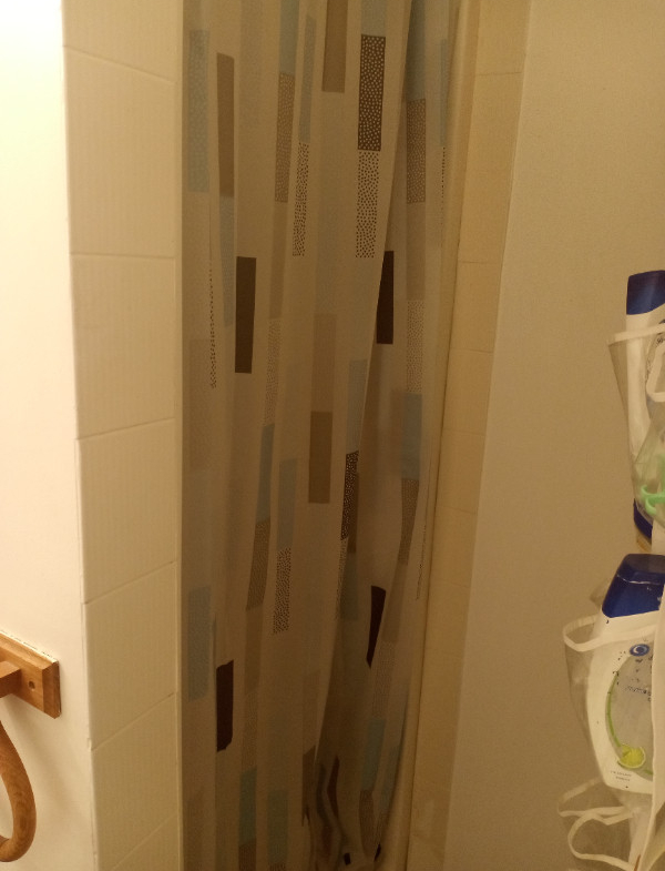 Bachelor/Studio 1 baths Apartment For Rent in Ottawa Ontario