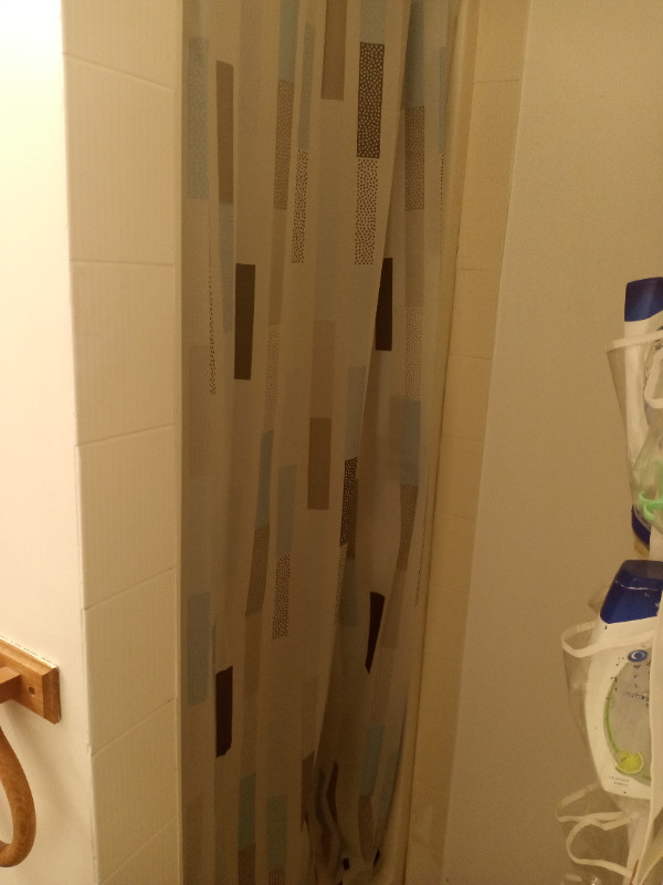 Bachelor/Studio 1 baths Apartment For Rent in Ottawa Ontario