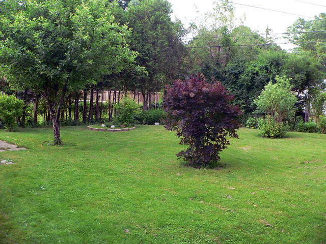 5 bedrooms 2 baths Duplex/Triplex For Rent in Ottawa Ontario