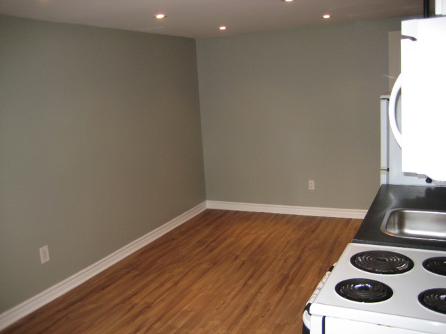 Bachelor/Studio 1 baths Apartment For Rent in Ottawa Ontario