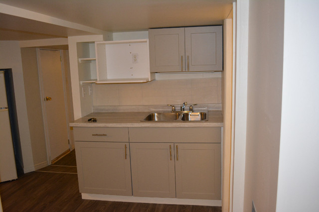 Bachelor/Studio 1 baths Basement For Rent in Ottawa Ontario