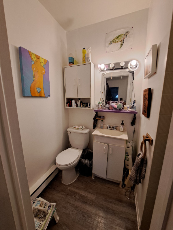 Bachelor/Studio 1 baths Apartment For Rent in Ottawa Ontario