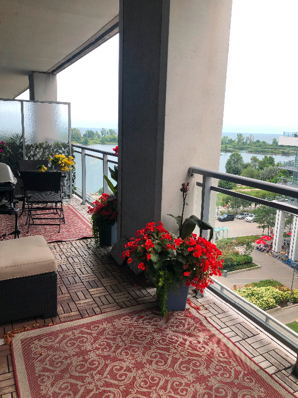1 + Den bedrooms 1 baths house For Sale By Owner in Toronto Ontario
