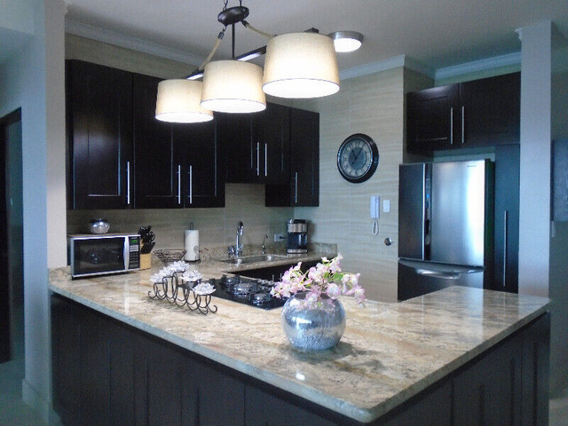 2 bedrooms 2 baths house For Sale By Owner in Ottawa Ontario