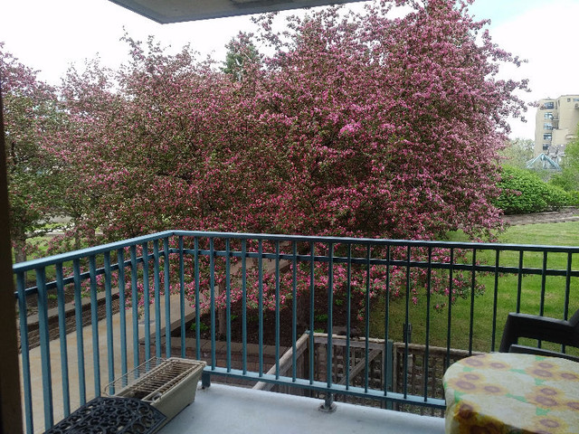 2 bedrooms 1.5 baths house For Sale By Owner in Ottawa Ontario