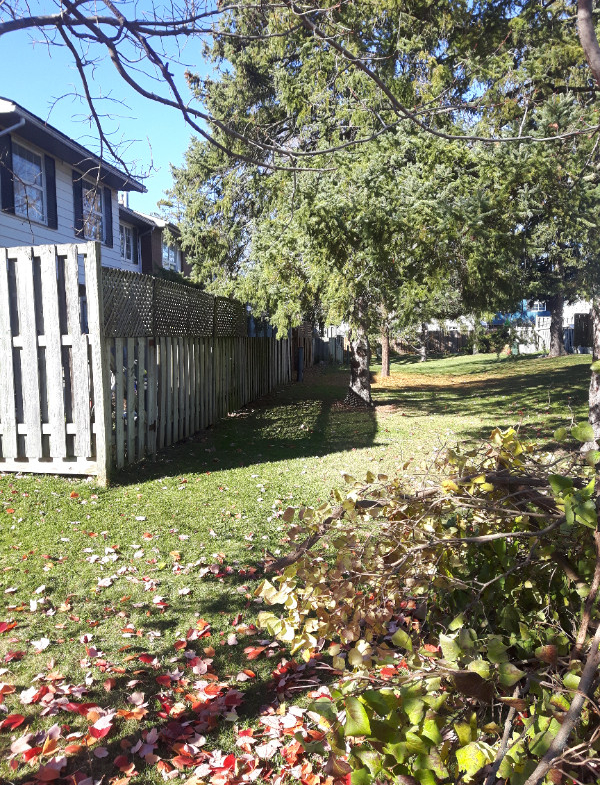 3 bedrooms 1.5 baths Condo For Sale By Owner in Gatineau Quebec