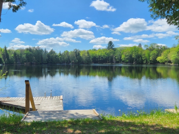 ⭐⭐ TURNKEY WATERFRONT GETAWAY FOR SALE ⭐⭐ SWIM FISH BOAT GOLF HIKE