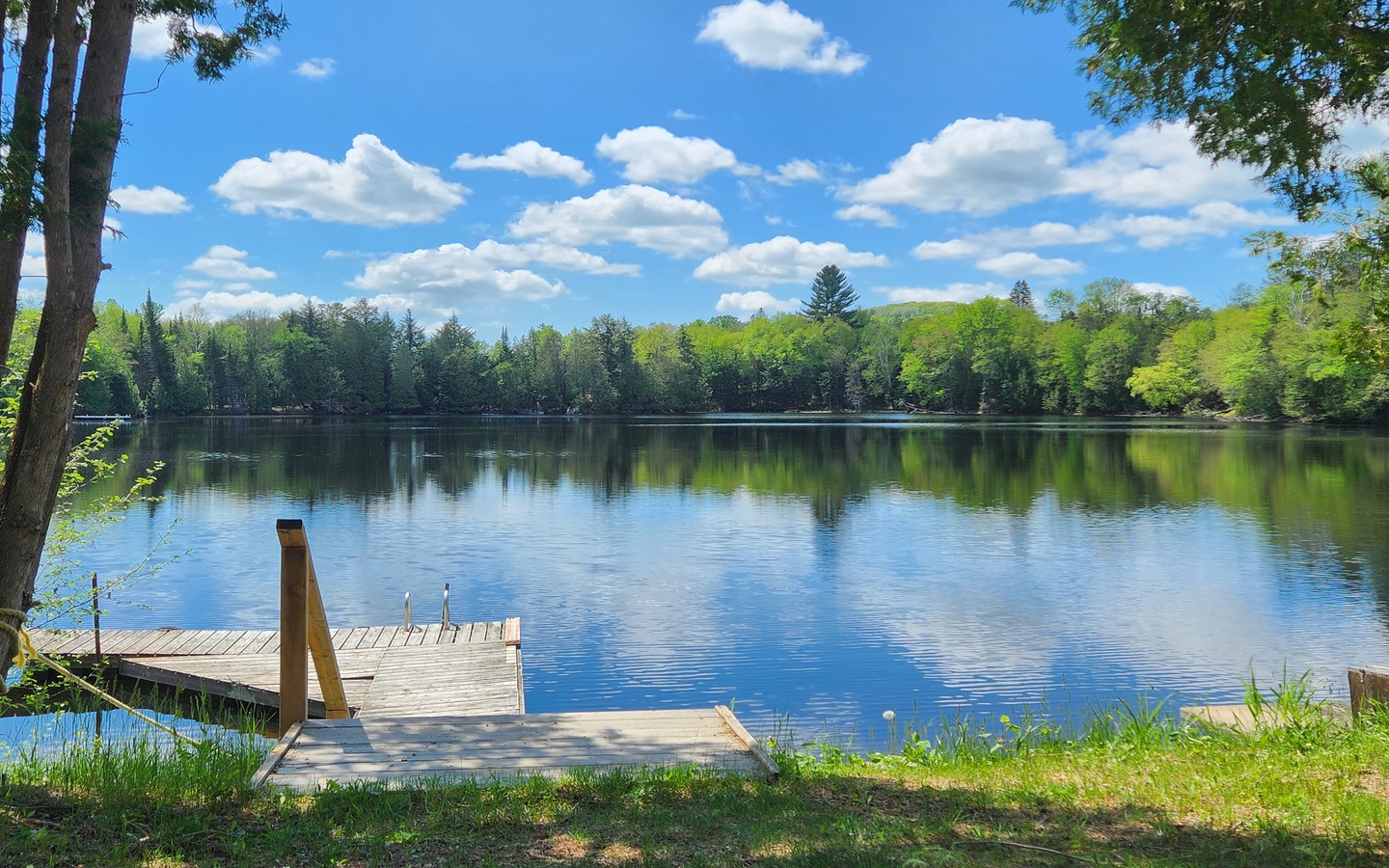 ⭐⭐ TURNKEY WATERFRONT GETAWAY FOR SALE ⭐⭐ SWIM FISH BOAT GOLF HIKE